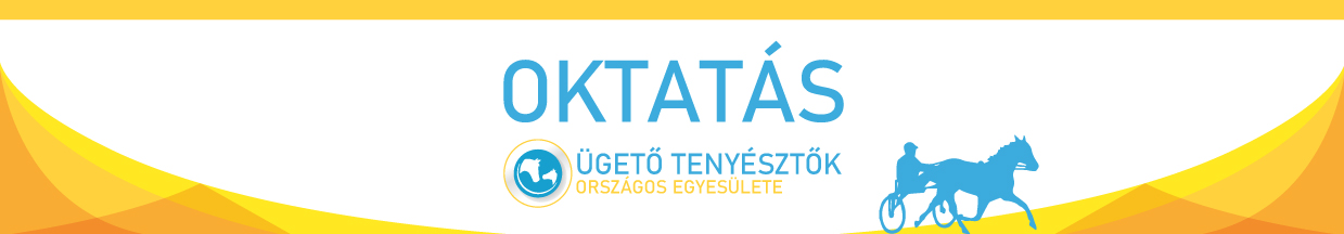oktatas.ugeto.com